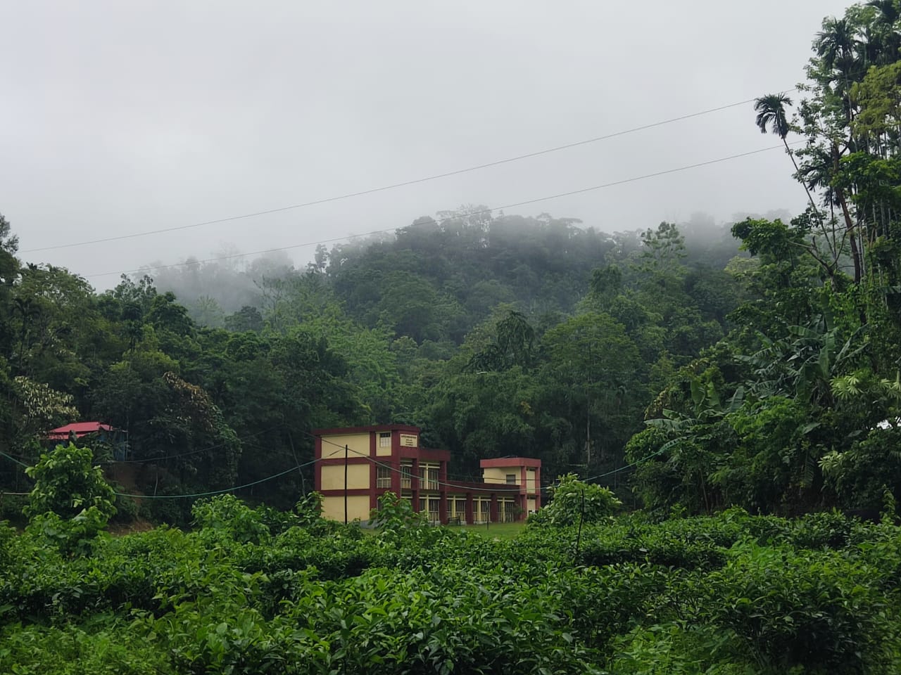 SreeMangal